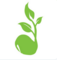 Logo for Accounting Seed